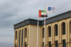 11.Pic-13